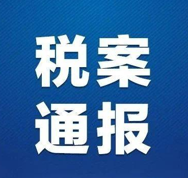 税务部门公布5起涉税违法典型案件 ! 涉及外贸、医药等重点行业